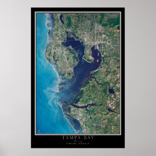 Tampa Bay Florida Satellite Poster Karta