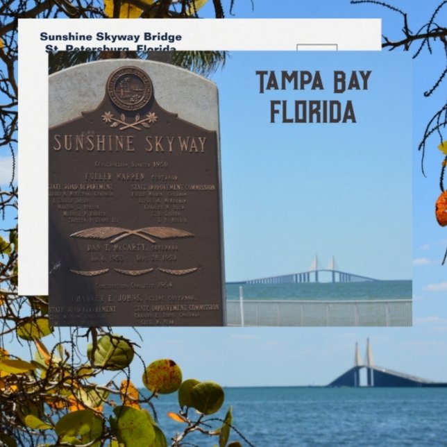 Tampa Bay Florida Sunshine Skyway Bridge Vykort (Skapare uppladdad)
