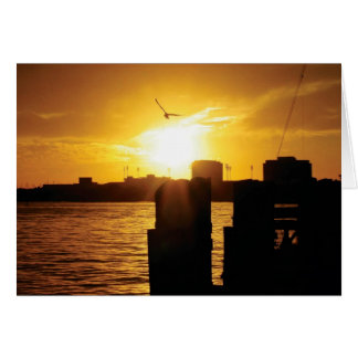 Tampa Bay Hälsningskort