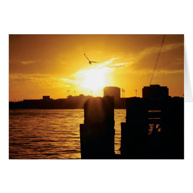 Tampa Bay Hälsningskort (Framsidan Horizontal)