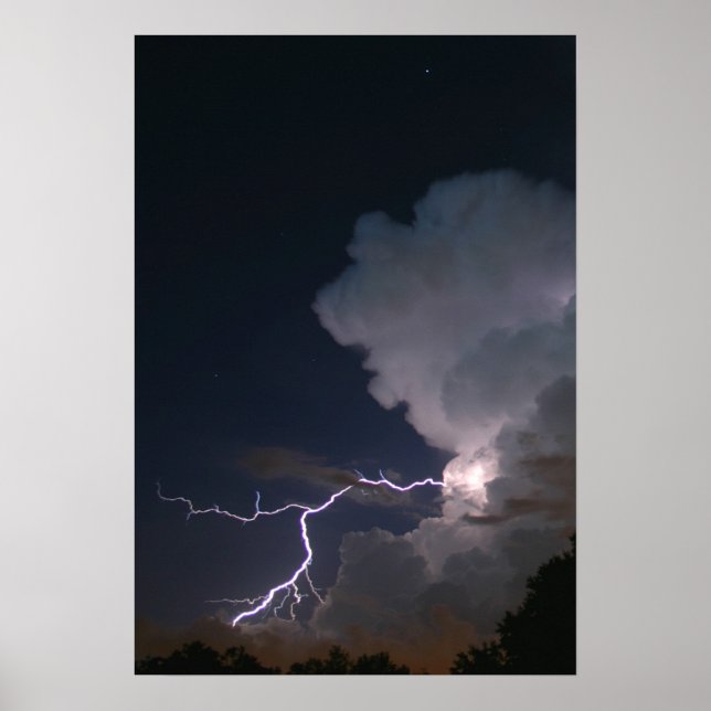 Tampa Bay Lightning Poster (Framsidan)