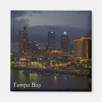 Tampa Bay Night Skyline