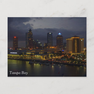 Tampa Bay Night Skyline Vykort