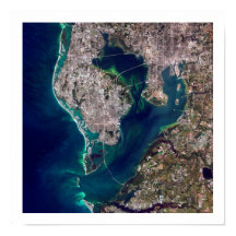 Tampa Bay Satellite Image