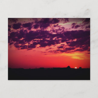 Tampa Bay Sunset Vykort