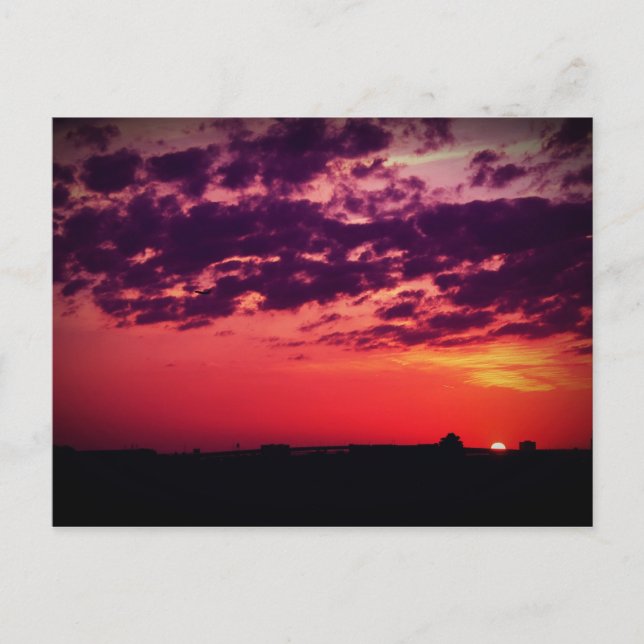 Tampa Bay Sunset Vykort (Framsida)