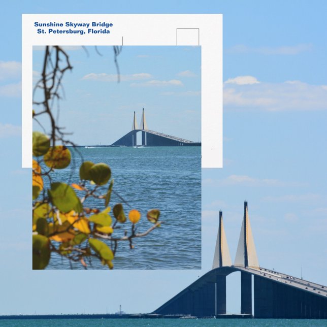 Tampa Bay Sunshine Skyway Bridge Fotografisk Vykort (Skapare uppladdad)