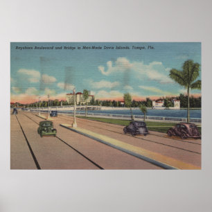 Tampa FL - beskåda av den Bayshore blvden, Poster
