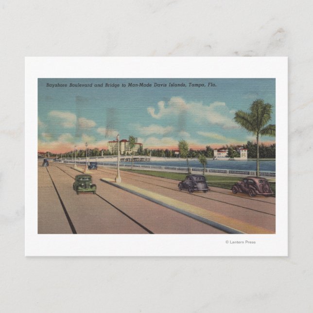 Tampa, FL - View of Bayshore Blvd, Bridge Vykort (Framsida)