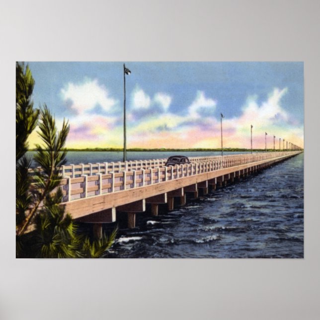 Tampa Florida Gandy Bridge Poster (Framsidan)