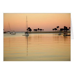 Tampa, Florida Hälsningskort