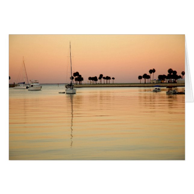 Tampa, Florida Hälsningskort (Framsidan Horizontal)