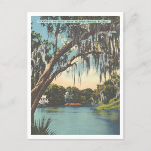 Tampa Florida Hillsborough River Sulfur Vår Vykort