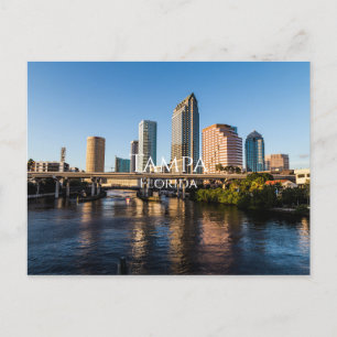 Tampa Florida Postcard Vykort