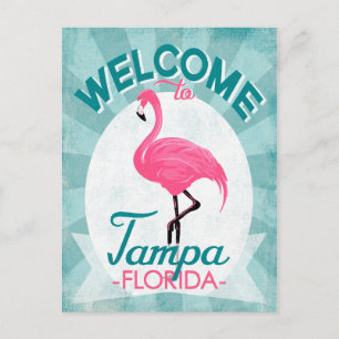 Tampa Florida Rosa Flamingo - Vintage Retro Travel Vykort