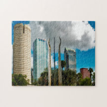Tampa Florida Siluett.