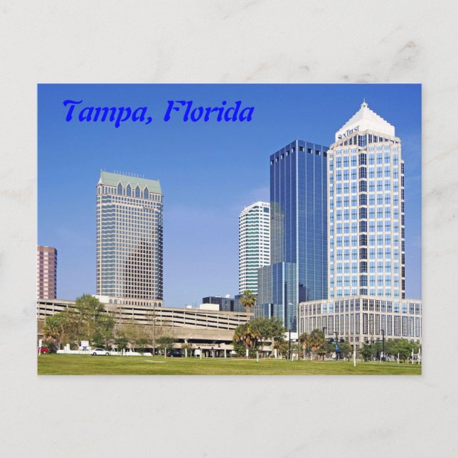 Tampa, Florida skyline Vykort (Framsida)