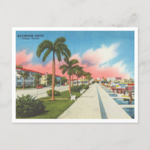 Tampa, Florida vintage Bayshore Drive och Marina Vykort