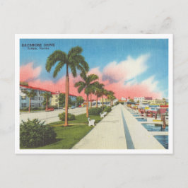 Tampa, Florida vintage Bayshore Drive och Marina Vykort