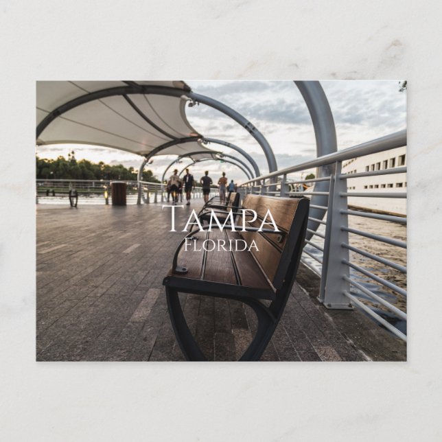 Tampa Florida Vykort (Framsida)