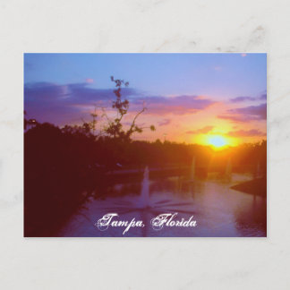 Tampa Florida Vykort