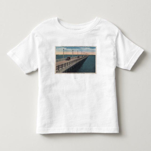 Tampa FloridaView av Gandy BridgeTampa, FL Tee Shirt (Framsida)