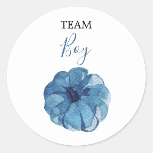 TAMS Navy Gender Reveal Baby Shower-etiketter för Runt Klistermärke