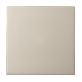 Tan Canvas Square Kitchen and Bathroom Kakelplatta