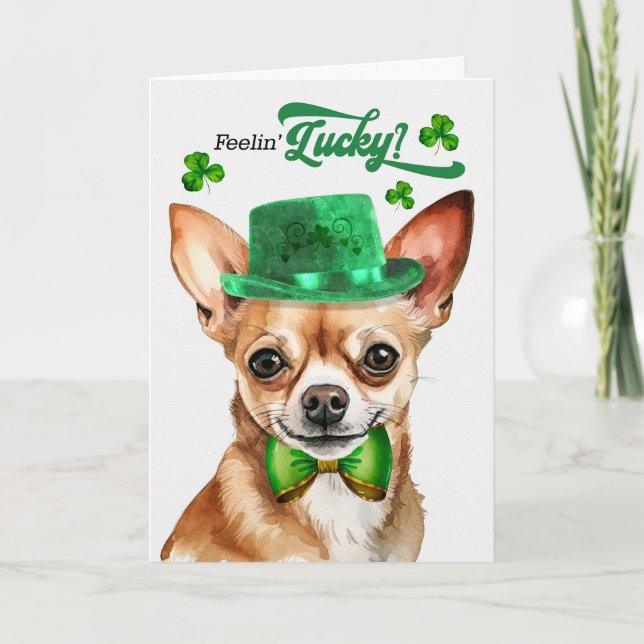Tan Chihuahua Hund Feelin'Lucky St patrick's day Helgkort (Framsida)