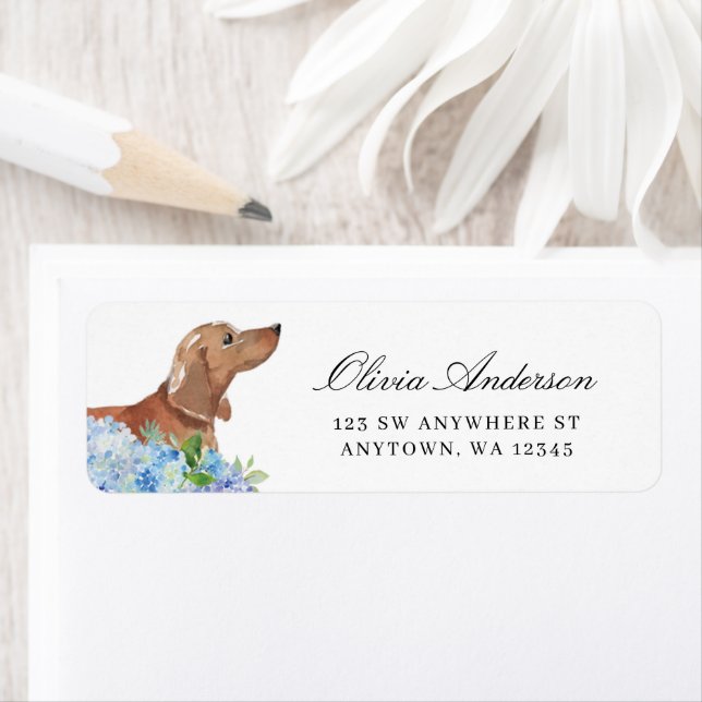 Tan Dachshund Blue Hydrangea Returadress Etikett (Insitu)
