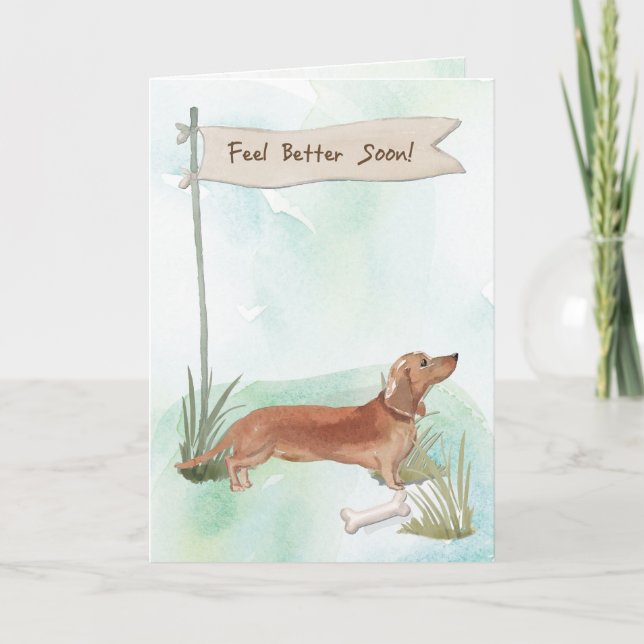 Tan Dachshund känner sig bättre efter kirurgi till Kort (Framsida)