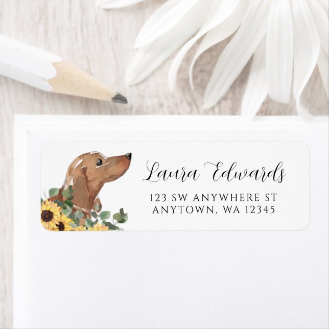 Tan Dachshund Solros Eucalyptus Returadress Returadress Etikett (Insitu)