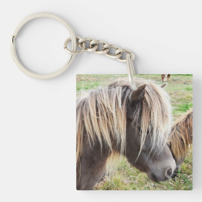 Tan Färgad Shetland Pony (Framsidan)