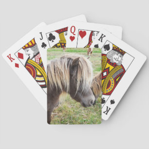 Tan Färgad Shetland Pony Casinokort