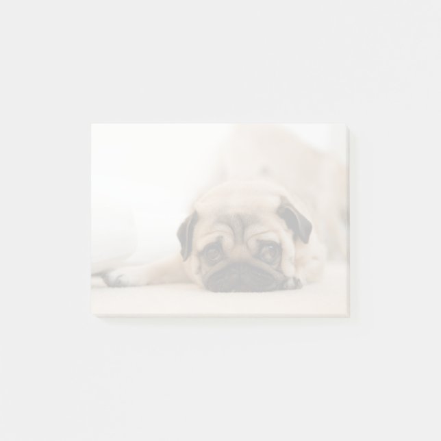 Tan Female Pug Post-it Block (Framsida)