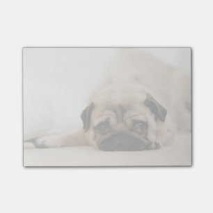 Tan Female Pug Post-it Block