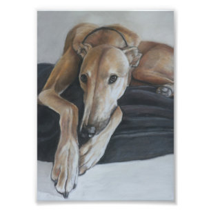 Tan Greyhound Hund Art Photo Print Fototryck