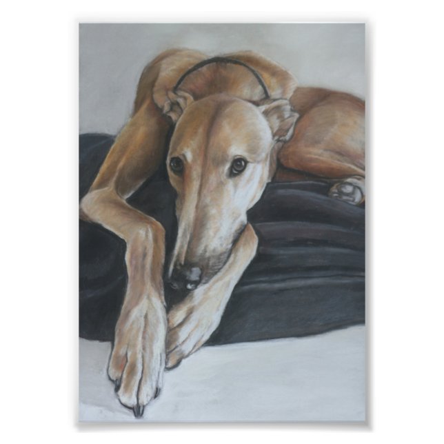 Tan Greyhound Hund Art Photo Print Fototryck (Framsidan)