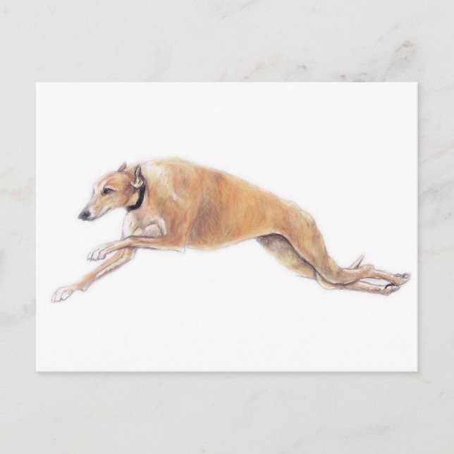 Tan Greyhound Running Hund Art Postcard Vykort (Framsida)