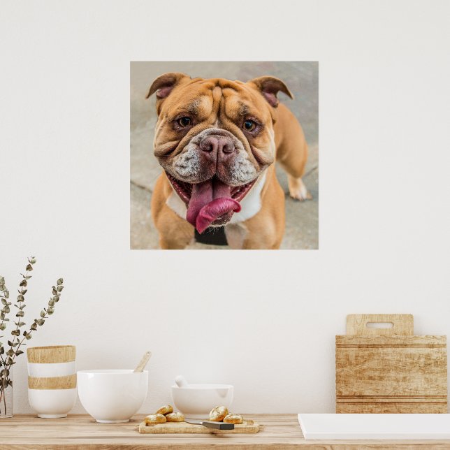 Tan Lycklig Hund Photo Poster (Kök)