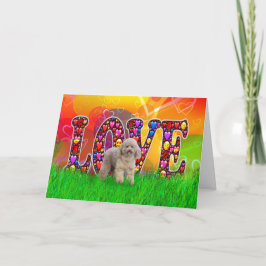 Tan Pudel Hund Valentine Card Kort