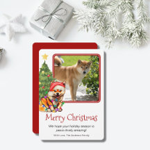 Tan Shiba Inu och Julgran Pet Hund One Photo