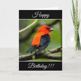 Tanager-kort för Scarlet i personlig Grattis på fö Kort
