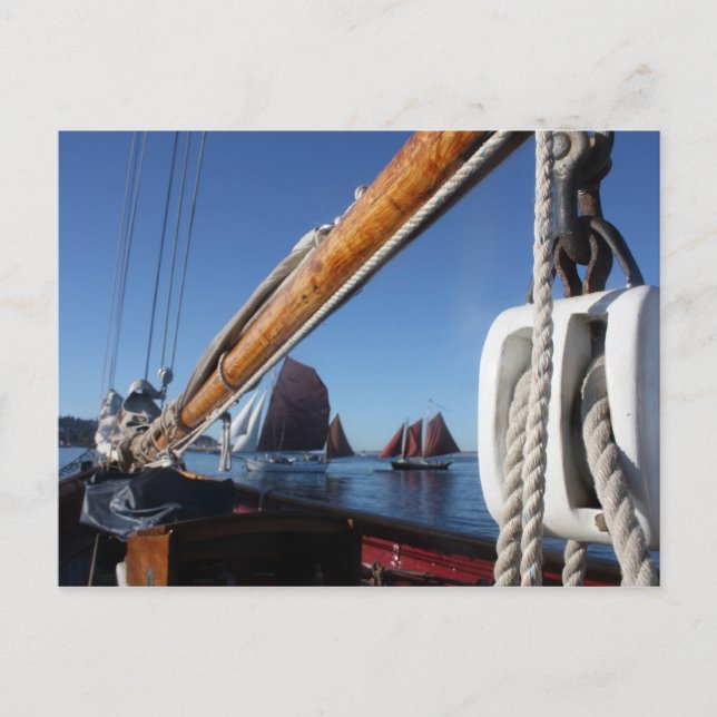 Tanbark Sails of a WA Wooden Boat Festival Vykort (Framsida)