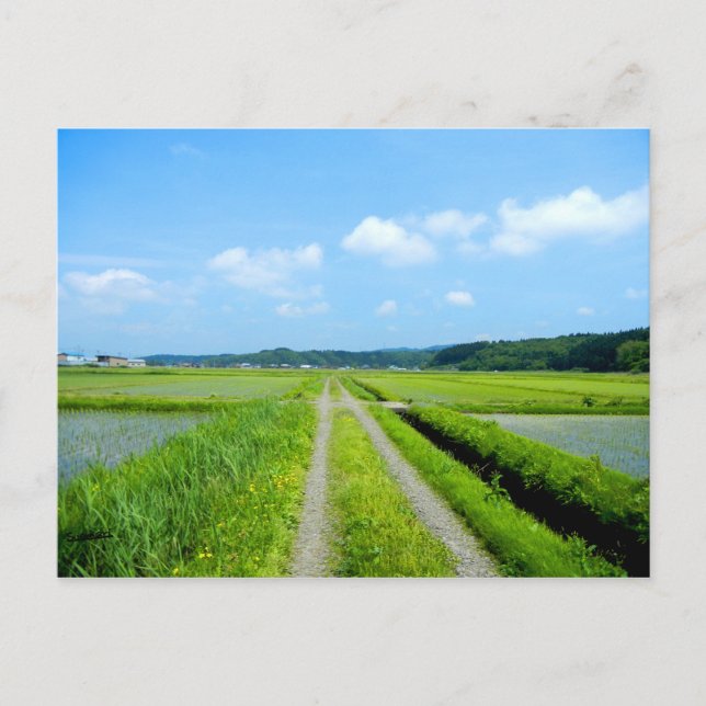 Tanbo Road Vykort (Framsida)