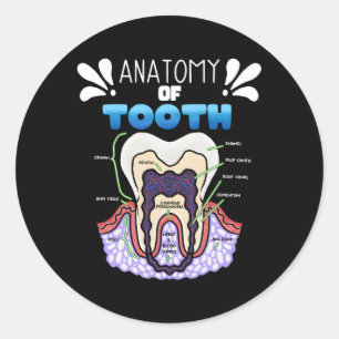 Tand Anatomidentist Humor för ortodoontist Runt Klistermärke