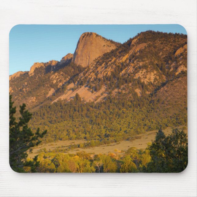 Tand des tid, Philmont Scout Ranch, Cimarron Musmatta (Framsidan)