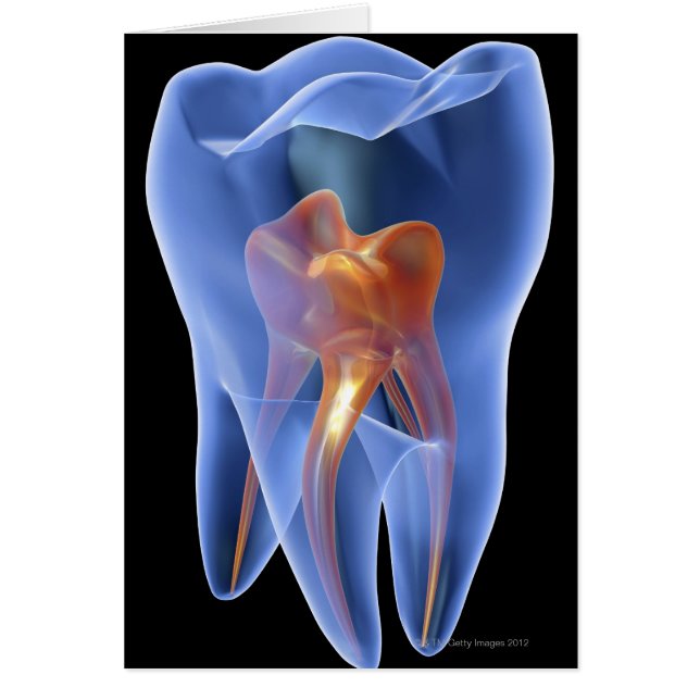 Tand, genomskinlig kor-del av en molar hälsningskort (Framsidan)