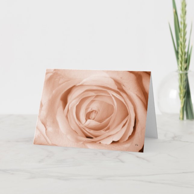 Tända aprikosen, få väl snart kort (Framsida)