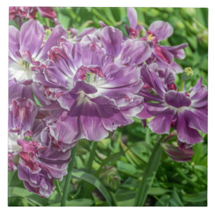Tända - den keramiska lila blommor belägger med kakelplatta